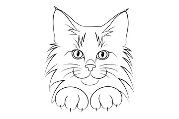 Line drawing a fluffy cat face with paws feline animal