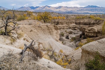 Dreamlike terrain featuring a network of gullies and deeply weathered rock structures in a grey-blue badlands region.