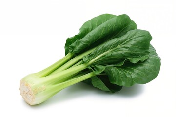 Freshly picked organic bok choy with large green leaves, isolated on white background