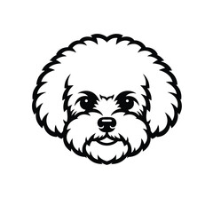 Bichon frise dog head logo stencil graphic Keywords: dog, bichon frise, head, logo, stencil