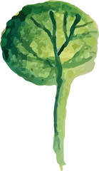 green tree isolated on white. watercolor element