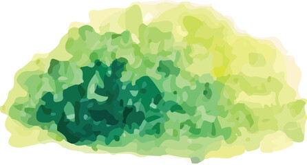 watercolor moss illustration vector hand drawn