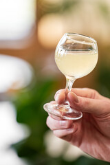 Close-up of a hand holding a clear stemmed glass with pale yellow drink, blurred green background, elegant presentation, suitable for cocktail, wine, or spirits themes.