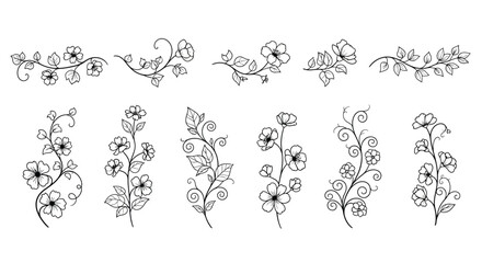 Delicate hand-drawn floral elements and borders for elegant design projects vector