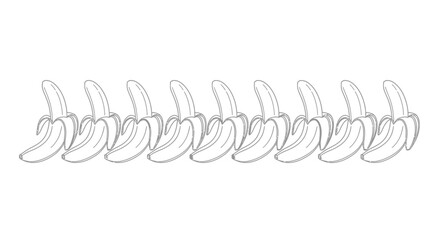 Row of fresh bananas realistic sketch hand drawn fruit healthy food concept isolated vector
