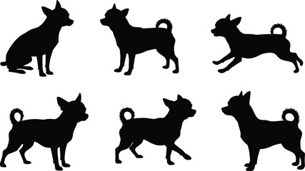 Chihuahua dog silhouettes, pet vector illustration, canine outline artwork, black animal clipart, small breed design, sitting standing running walking poses collection