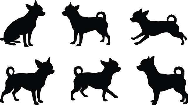 Chihuahua dog silhouettes, pet vector illustration, canine outline artwork, black animal clipart, small breed design, sitting standing running walking poses collection