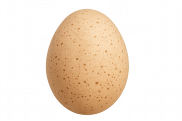 Speckled turkey egg showing organic farm and healthy food ingredient concepts, featuring poultry and farming themes on transparent background