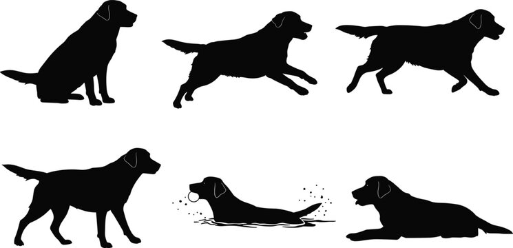 Labrador Retriever dog silhouette vector, sitting standing walking running swimming lying poses, black canine outline illustration, pet animal posture clipart, domestic dog breed design element