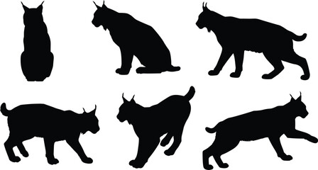 Black lynx silhouette collection, sitting, walking, standing, wild feline poses, animal posture, wildlife vector design, predator cat, cad drawing flat vector illustration