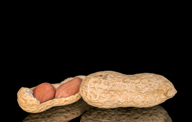 Unshelled peanuts isolated on black background, macro.