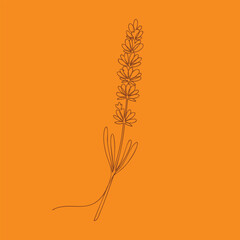Minimalist line drawing of a lavender flower with detailed leaves on a vibrant orange