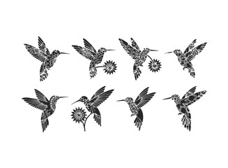 Ornate Hummingbird Collection Silhouette Art.