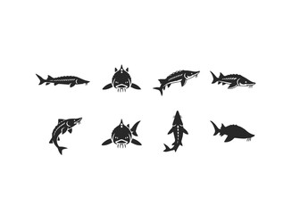 Set of Sturgeon Fish Silhouettes.