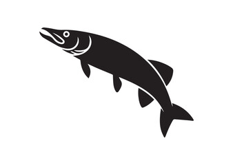 Obraz premium Fish Icon, Fish pike vector Design