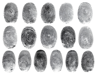 3D Render of Fingerprint Patterns Transparent Background.