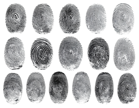  3D Render of Fingerprint Patterns Transparent Background.