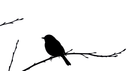 Silhouette of a small bird perched on a branch isolated PNG with Transparent Background