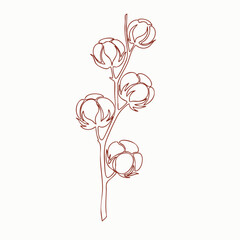 Single stylized line drawing of a cotton plant with multiple fluffy seed pods on a tall stem