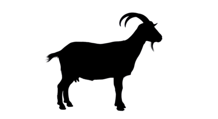 Silhouette of a goat isolated PNG with Transparent Background