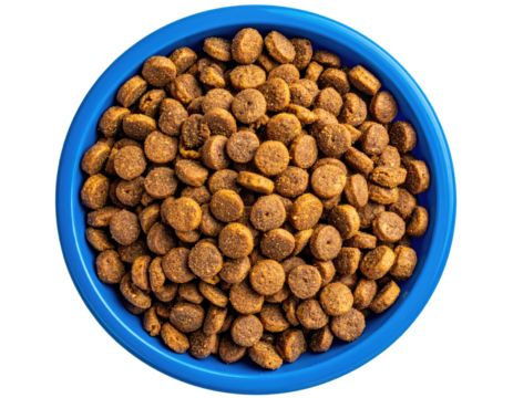 Dog food in a blue bowl (4)