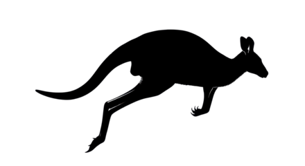 Black silhouette of a kangaroo isolated PNG with Transparent Background