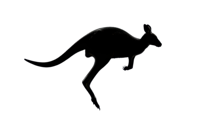 Black silhouette of a kangaroo jumping isolated PNG with Transparent Background