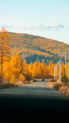 Obraz premium autumn in the mountains