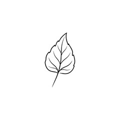 Simple outlined leaf birch illustration in black and white  