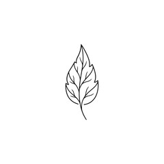 Line art illustration of a simple leaf design  