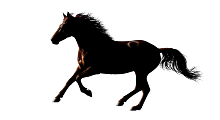 Dark horse running wild isolated PNG with Transparent Background