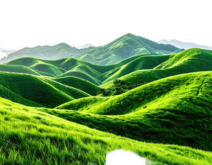 Lush green rolling hills under a soft light