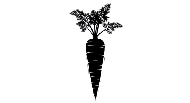 Black and white carrot silhouette for print or web design isolated PNG with Transparent Background