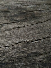 Wood grain cracks that have been worn away by time