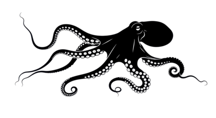 Black silhouette of an octopus isolated PNG with Transparent Background