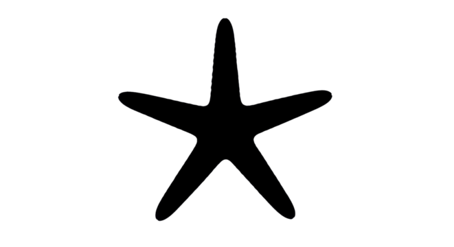 Black Starfish Silhouette isolated PNG with Transparent Background