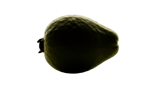Whole guava fruit for healthy eating concept isolated PNG with Transparent Background