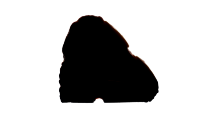 Black spot or stain concept isolated PNG with Transparent Background