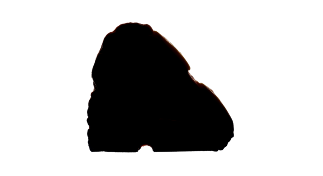 Black spot or stain concept isolated PNG with Transparent Background