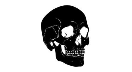 Black skull illustration isolated PNG with Transparent Background
