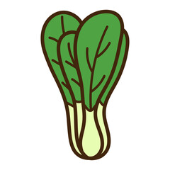 Cartoon Green Bok Choy Vegetable With Outline Illustration on Transparent Background Isolated