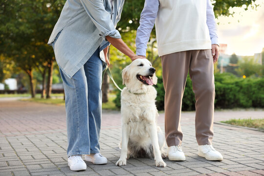 Senior couple with adorable Golden Retriever dog outdoors, closeup - Powered by Adobe