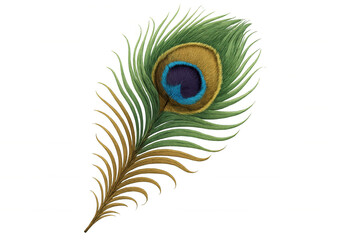 Obraz premium Peacock feather isolated on a transparent background, showcasing vibrant eye spot and intricate texture