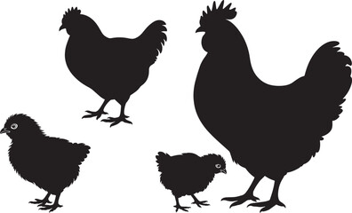 Black silhouettes of chickens and chicks set, farm birds family, rooster, hen, baby fowl collection