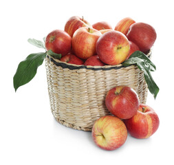 Fresh apples in wicker basket and green leaves isolated on white