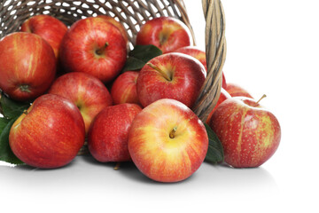 Fresh apples in wicker basket and green leaves isolated on white