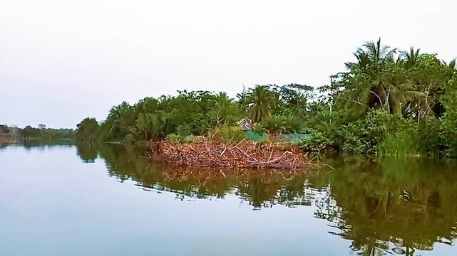 Small river through green trees