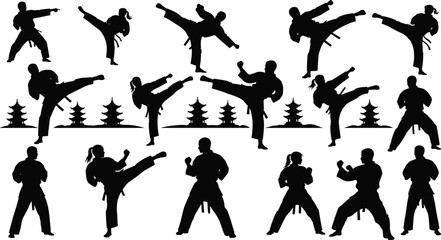 Martial arts silhouette illustration, karate and taekwondo poses, black and white fighters, traditional pagoda background, dynamic kicks, combat sport vector © Monjurul Creatives