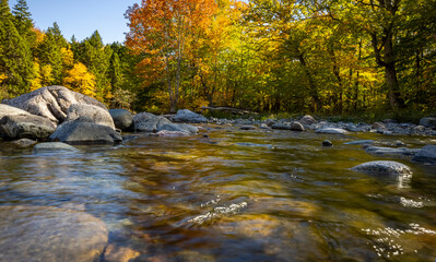 Autumn in New Brunswick, Canada. 