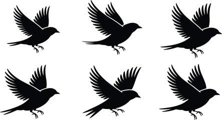 Elegant flying bird silhouettes for modern logo or icon designs